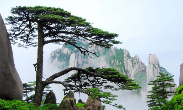 黄山一日游最佳路线