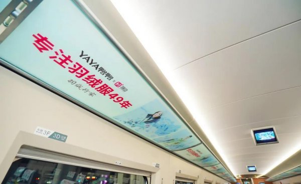 鸭鸭羽绒服产地在哪里