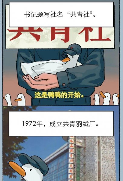 鸭鸭羽绒服产地在哪里