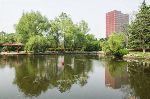 中国科技大学在哪个城市