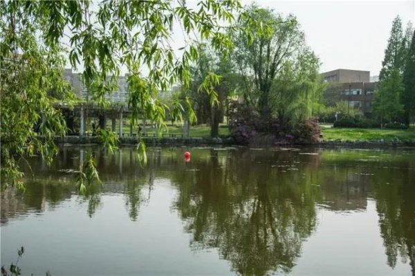 中国科技大学在哪个城市