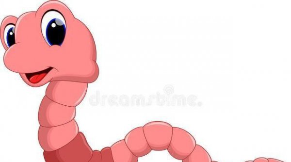 什么生肖的人最喜欢借钱