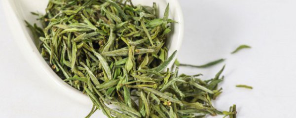 最常见的绿茶是什么