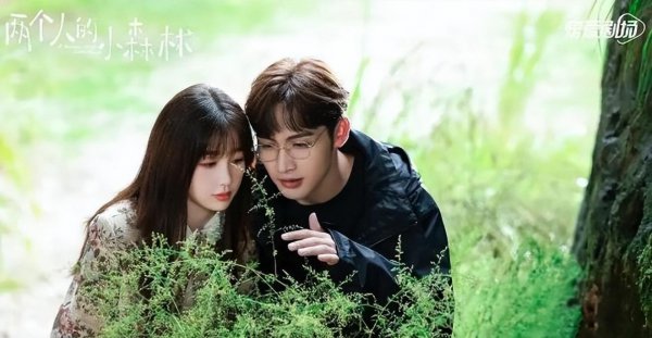 最热电视剧排行榜前十名