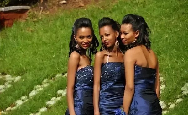 南非人口总数是多少