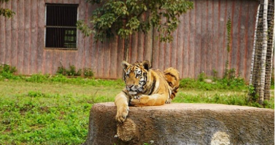 平南旅游景点哪些好玩的地方