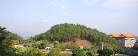 平南旅游景点哪些好玩的地方