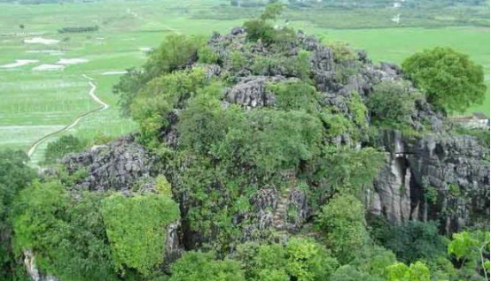 平南旅游景点哪些好玩的地方