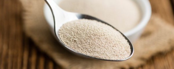 大包酵母开封了要怎么保存