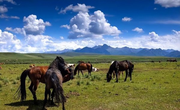 张掖旅游景点排名