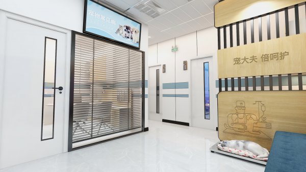 开宠物医院的条件有什么