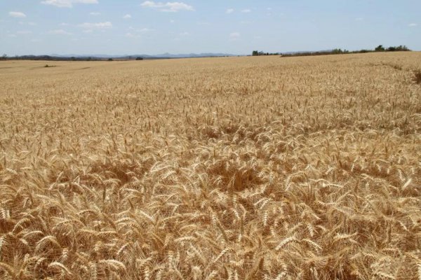 一人民币等于多少津巴布韦币