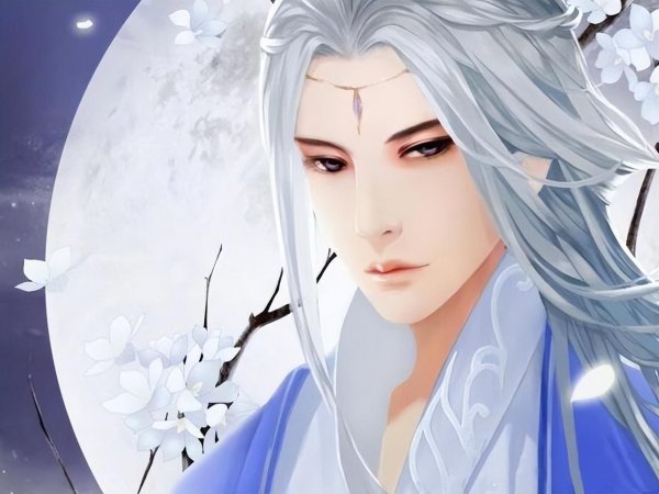 赘婿小说排行榜推荐