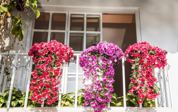 厦门面积多大平方公里