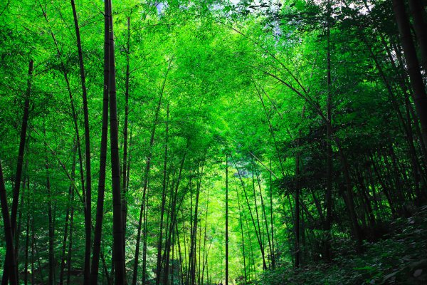 宁波奉化旅游景点大全