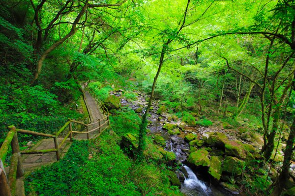 宁波奉化旅游景点大全