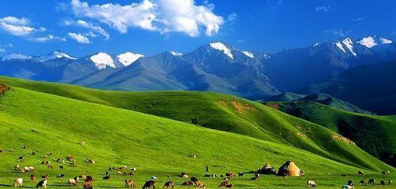 乌鲁木齐几个区