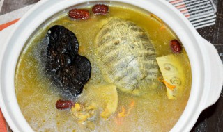 吃乌龟肉的好处和坏处 吃乌龟肉有哪些好处和坏处呢