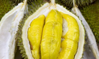 一次吃多少榴莲合适 榴莲一次吃多少为宜