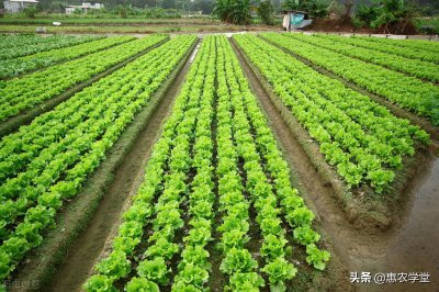 耕地地力保护补贴是什么意思 补贴对象范围及标准