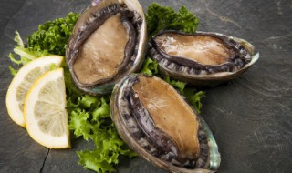 鲍鱼冷冻放一个月能吃吗 鲍鱼冷冻了一个月还能吃吗