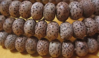 菩提怎么分辨真假好坏 菩提如何判断真假