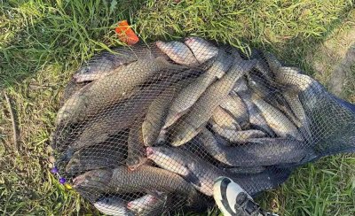 野钓钓鱼技巧 初学者必须掌握入门基本功及野钓秘籍