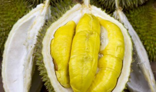 榴莲暂时不吃如何保存不坏 榴莲暂时不吃如何保存比较好