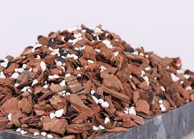 盆栽植物用什么土壤好 种植花草用什么土壤最好