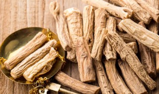 党参泡水喝功效和作用 党参可以泡水喝的功效