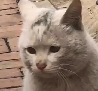 喷完乳胶漆多久可以开窗户 至少2天开窗通风打扫卫生