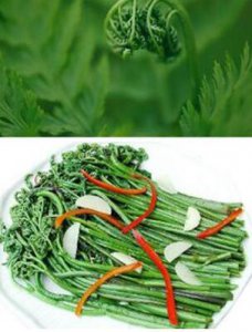 蕨菜的营养价值有哪些 蕨菜的功效以及作用
