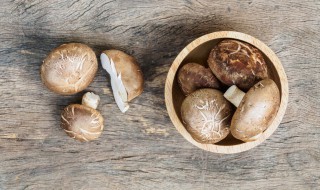 香菇炒肉怎么炒好吃 香菇炒肉的烹饪方法