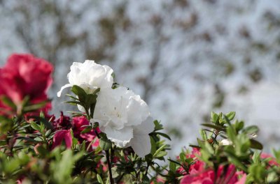 狡猾的人有什么特点和性格 狡猾的人做事有四个显著表现