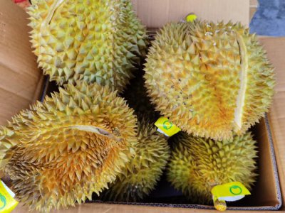 教你6个诀窍挑出最好的榴莲肉 三大实用技巧榴莲控必看