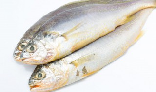 鱼和香蕉能一起吃吗 鱼和香蕉可不可以一起吃呢