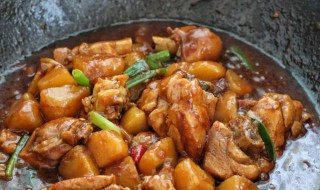 东北烧鸡怎么炖才好吃 东北烧鸡如何炖才好吃