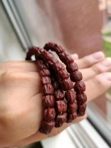 刚入手百香籽怎样打底孔 百香籽前期打底用什么刷子