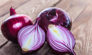 洋葱属什么部位 洋葱属于植物的什么器官