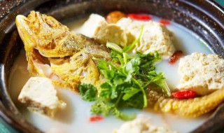 黄花鱼和什么煲汤比较好 黄花鱼和哪些食材煲汤比较好
