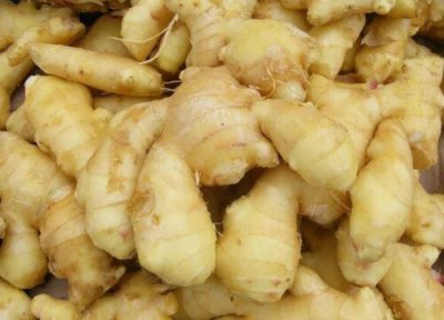 沙姜的功效与作用 沙姜的功效与作用及食用方法