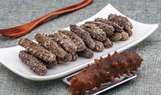 海参和什么一起煲汤比较好 海参可以和什么一起煲汤