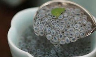 兰香子怎么泡 兰香子如何泡才对