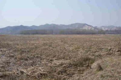 有钱不买河边地光棍不娶活汉妻什么意思 这句话有道理吗