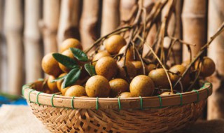 桂圆如何在移动中保鲜 桂圆怎样在移动中保鲜