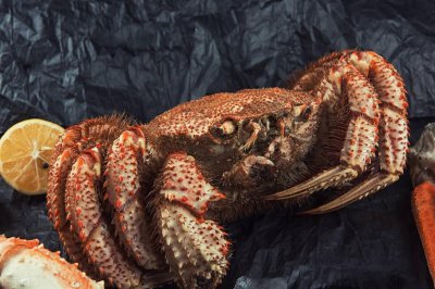 螃蟹脱壳是怎么脱的 你们根本不知道的螃蟹脱壳知识