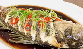 新鲜鲈鱼怎样做才好吃简单 新鲜鲈鱼好吃又简单的方法