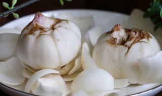 怎么保存新鲜百合 如何保存新鲜百合