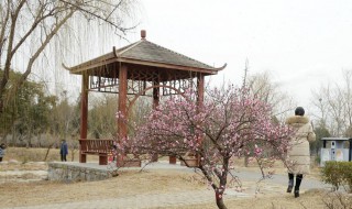 新乡有哪些景区 新乡的景区推荐