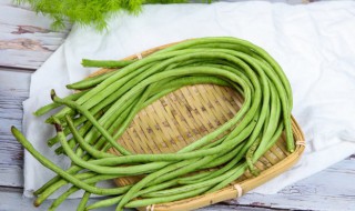 新鲜豆角煮鱼怎么做才好吃 豆角煮鱼的做法